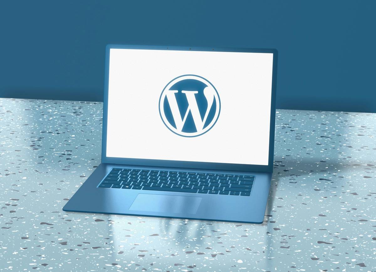 web hosting and building guide showing server dashboard with uptime metrics and student traffic graph